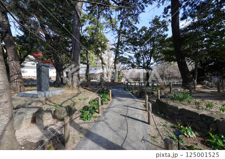 福岡県 北九州市 小倉 勝山公園 第十二師団司令部跡 福岡県 北九州市 小倉 勝山公園 第十二師団司令部跡 125001525