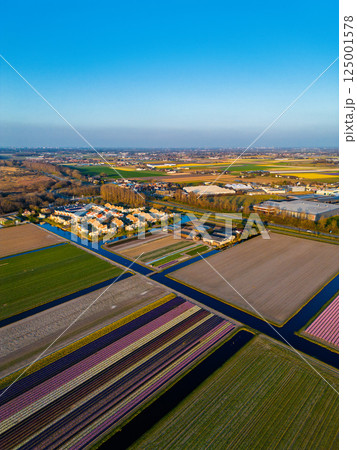 Aerial view of a peaceful suburban neighborhood surrounded by fields and canals. Neat rows of houses with red roofs reflect in the water, set against a backdrop of farmland and open skies. 125001578