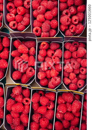 Fresh ripe raspberries in cardboard containers at a farmers market. Juicy red berries. Ideal for Fresh ripe raspberries in cardboard containers at a farmers market. Juicy red berries. Ideal for 125001660