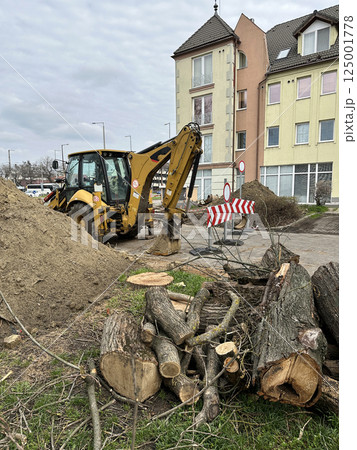 Cut-out trees and an excavator on the street of the city 125001778
