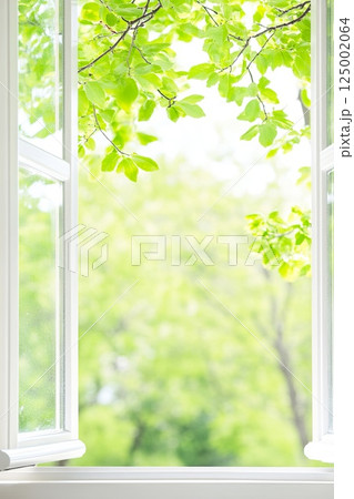 Open window with fresh greenery and sunlight in springtime. 125002064