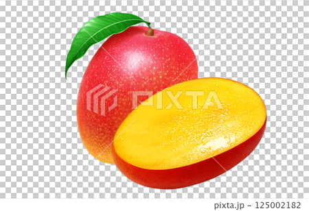 Mango realistic illustration Mango realistic illustration 125002182