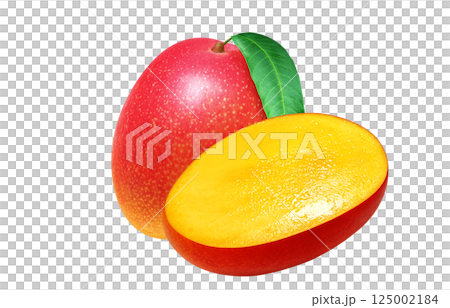 Mango realistic illustration 125002184