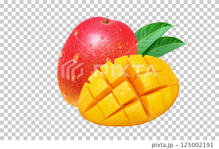 Mango realistic illustration 125002191