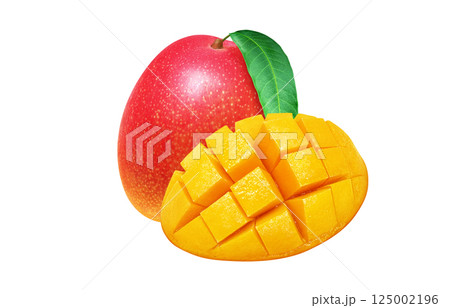 マンゴー リアル イラスト 125002196