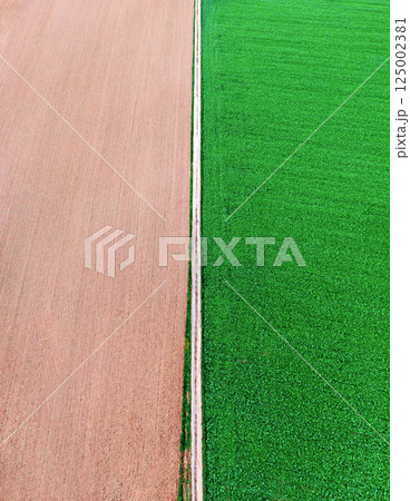 Drone vertical panorama with agricultural fields and countryside road 125002381