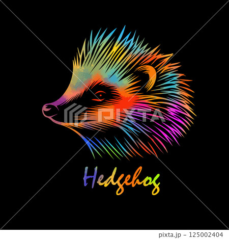 colored hedgehog on a black background. hand drawing. Not AI, Vector illustration colored hedgehog on a black background. hand drawing. Not AI, Vector illustration 125002404