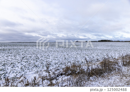 an agricultural field in winter 125002488