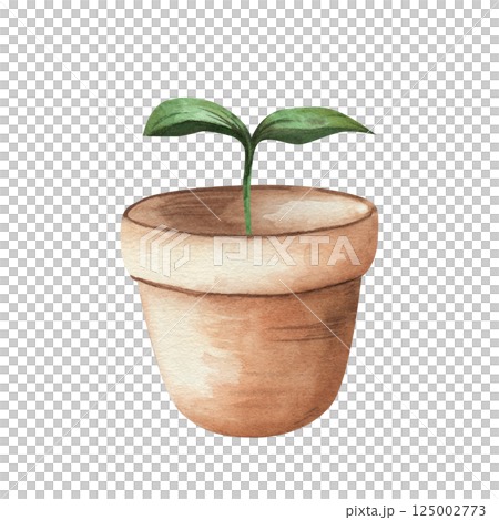 Young, green sprout of seedling in a clay pot on a white background. Watercolor illustration of a plant, hand drawn. Microgreens for wrapping paper, labels, cards. 125002773