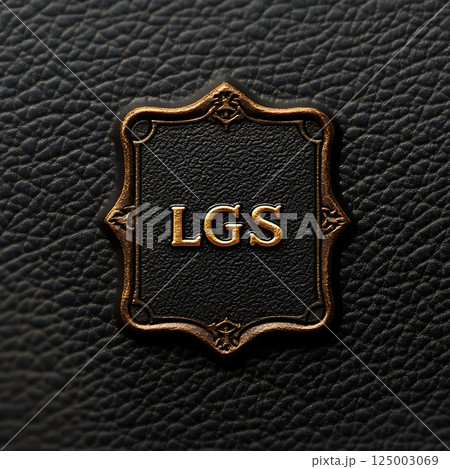 LGS logo in vintage frame with gold accents on textured black leather background, luxurious feel. LGS logo in vintage frame with gold accents on textured black leather background, luxurious feel. 125003069
