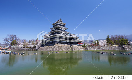 青空に映える松本城 青空に映える松本城 125003335