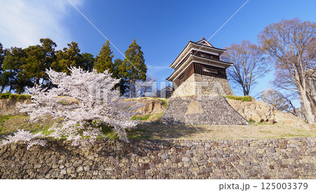 信州上田城址の千本桜祭り(昼間編) 信州上田城址の千本桜祭り(昼間編) 125003379