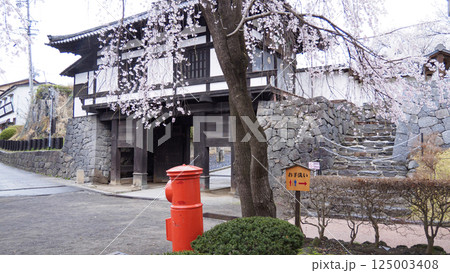 信州小諸城址(懐古園)の桜 信州小諸城址(懐古園)の桜 125003408
