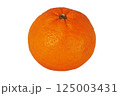 新鮮な柑橘系フルーツ 125003431