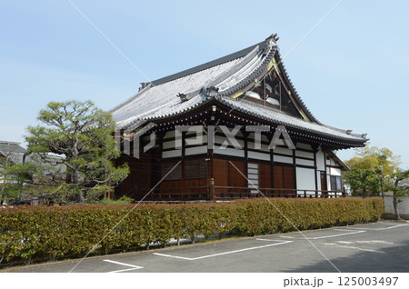 阿弥陀寺　本堂　京都市上京区 125003497