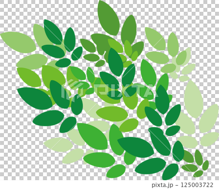 葉っぱ 125003722