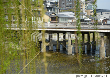 春の三条大橋 京都市東山区 春の三条大橋 京都市東山区 125003751