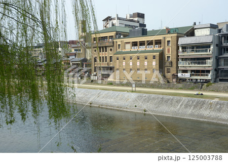 鴨川と先斗町歌舞練場　京都市東山区 125003788