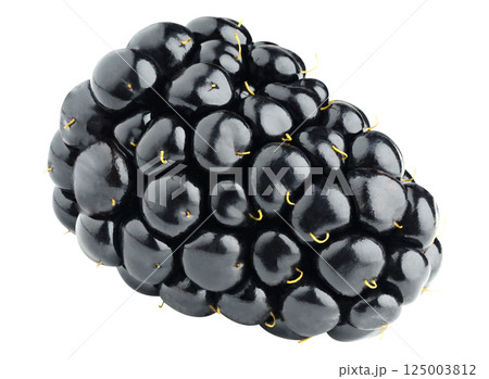 Blackberry fruit isolated on white Blackberry fruit isolated on white 125003812