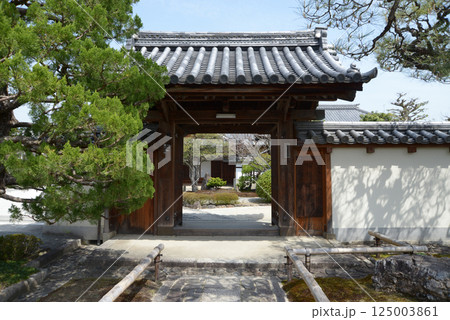 相国寺　 慈雲院の山門　京都市上京区 125003861