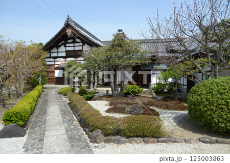 相国寺　 慈雲院の境内　京都市上京区 125003863