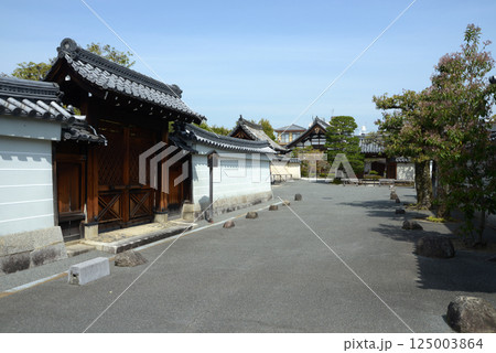 相国寺 慈照院と慈雲院への参道 京都市上京区 相国寺 慈照院と慈雲院への参道 京都市上京区 125003864