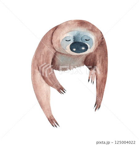 Little Sloth. Watercolor painting of cute Tropical Baby animal isolated on white background. For cards and posters, wallpaper. 125004022