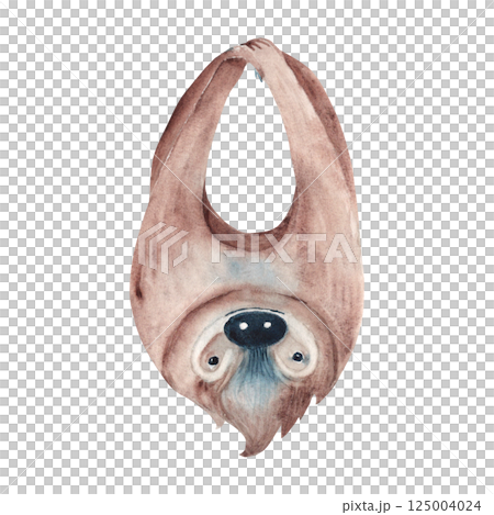 Sloth hanging upside down. Watercolor painting of cute Tropical animal isolated on white background. For cards and posters, wallpaper. 125004024