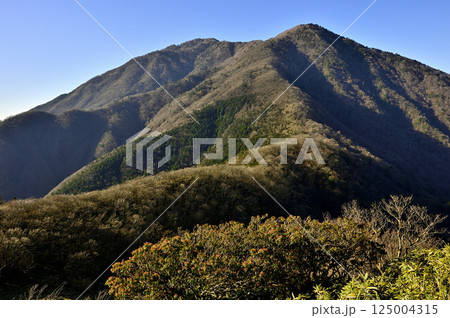 天子山地の竜ヶ岳から眺める晩秋のタカデッキと雨ヶ岳 天子山地の竜ヶ岳から眺める晩秋のタカデッキと雨ヶ岳 125004315