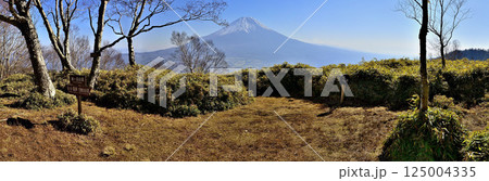 天子山地の雨ヶ岳山頂より富士山を望むパノラマ 天子山地の雨ヶ岳山頂より富士山を望むパノラマ 125004335