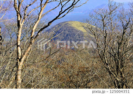 天子山地の雨ヶ岳より見下ろす丸いフォルムの竜ヶ岳 天子山地の雨ヶ岳より見下ろす丸いフォルムの竜ヶ岳 125004351