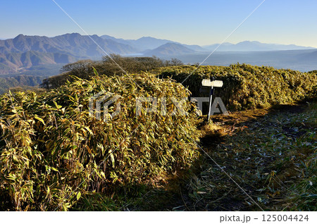 天子山地の竜ヶ岳 笹原の分岐点と御坂山地 天子山地の竜ヶ岳 笹原の分岐点と御坂山地 125004424