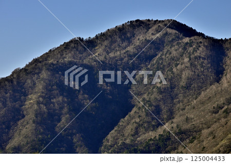 天子山地の竜ヶ岳より望むタカデッキ 天子山地の竜ヶ岳より望むタカデッキ 125004433