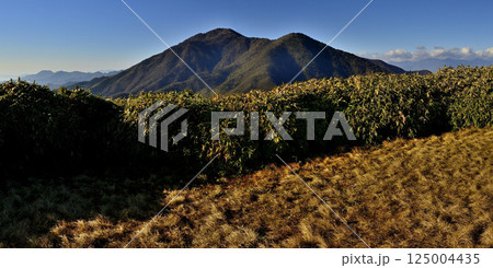 天子山地の竜ヶ岳山頂のパノラマ タカデッキと雨ヶ岳 天子山地の竜ヶ岳山頂のパノラマ タカデッキと雨ヶ岳 125004435