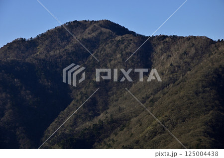 天子山地の竜ヶ岳山頂より望む晩秋のタカデッキ 天子山地の竜ヶ岳山頂より望む晩秋のタカデッキ 125004438