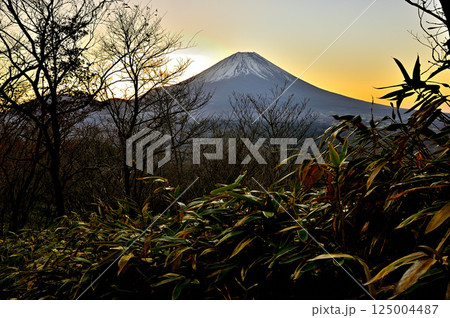 天子山地の竜ヶ岳より 夜明け前の空に浮かぶ富士山 天子山地の竜ヶ岳より 夜明け前の空に浮かぶ富士山 125004487