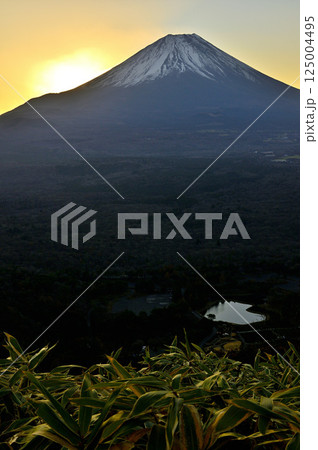 天子山地の竜ヶ岳より　夜明け前の空に浮かぶ富士山 125004495