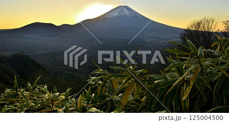 天子山地の竜ヶ岳より　夜明け前の富士山パノラマ 125004500