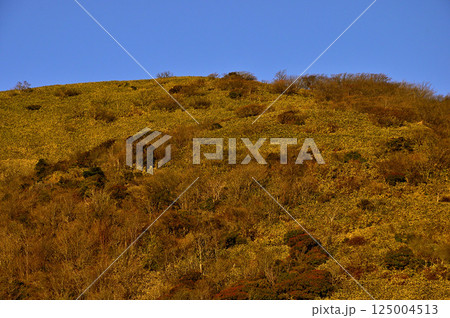 天子山地　朝焼けの竜ヶ岳 125004513