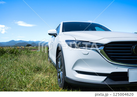 白いSUVタイプの車 白いSUVタイプの車 125004620