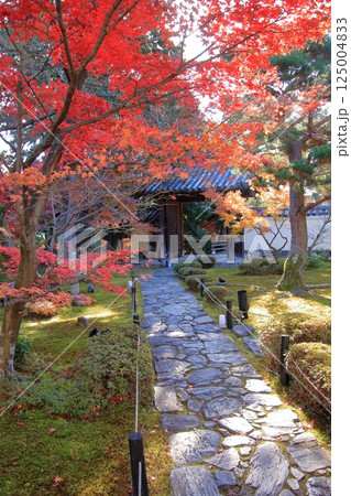 京都の紅葉 紅葉の名所 紅葉の穴場 鹿王院 京都の紅葉 紅葉の名所 紅葉の穴場 鹿王院 125004833