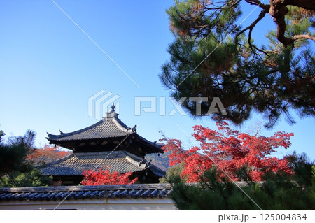 京都の紅葉 紅葉の名所 紅葉の穴場 鹿王院 京都の紅葉 紅葉の名所 紅葉の穴場 鹿王院 125004834