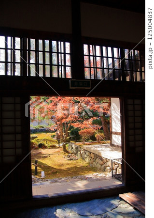 京都の紅葉　紅葉の名所　紅葉の穴場　鹿王院 125004837