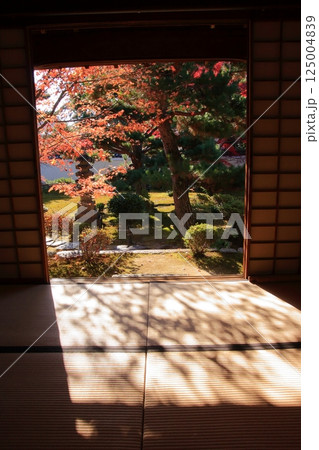 京都の紅葉 紅葉の名所 紅葉の穴場 鹿王院 京都の紅葉 紅葉の名所 紅葉の穴場 鹿王院 125004839