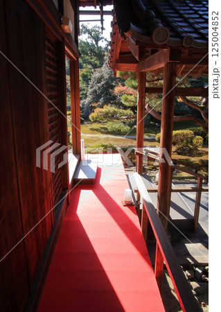 京都の紅葉 紅葉の名所 紅葉の穴場 鹿王院 京都の紅葉 紅葉の名所 紅葉の穴場 鹿王院 125004852