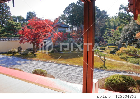 京都の紅葉 紅葉の名所 紅葉の穴場 鹿王院 京都の紅葉 紅葉の名所 紅葉の穴場 鹿王院 125004853