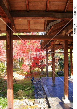 京都の紅葉 紅葉の名所 紅葉の穴場 鹿王院 京都の紅葉 紅葉の名所 紅葉の穴場 鹿王院 125004858