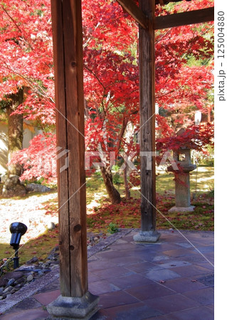 京都の紅葉　紅葉の名所　紅葉の穴場　鹿王院 125004880