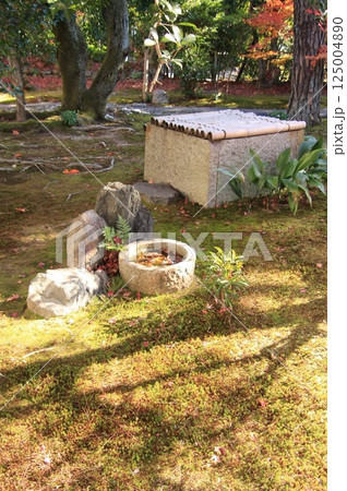 京都の紅葉　紅葉の名所　紅葉の穴場　鹿王院 125004890