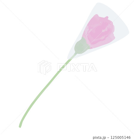 フィルムに包まれた一輪の赤い花のつぼみのイラスト 125005146